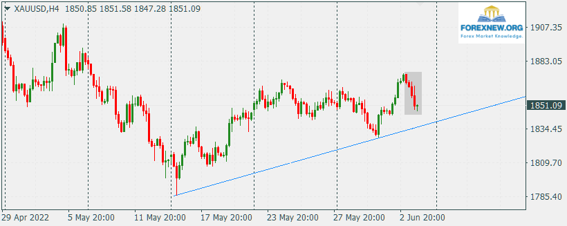XAUUSD 6 June News