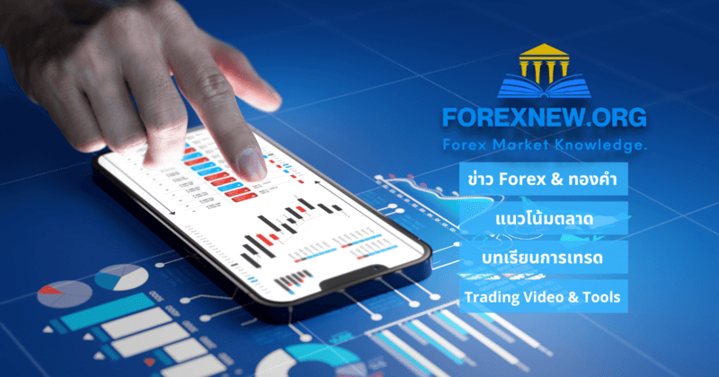Forexnew website about us