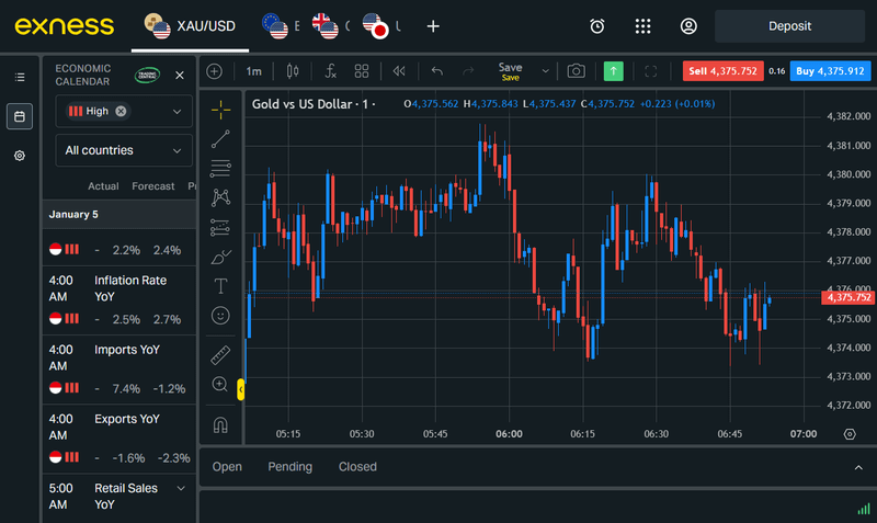 Exness Terminal Review